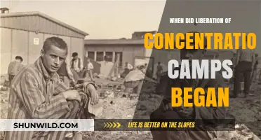Liberation of Concentration Camps: The Start of Freedom's Dawn