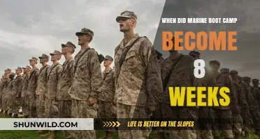 Marine Boot Camp Shortened: The Shift to 8-Week Training Explained