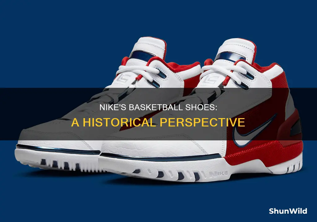 when did nike start making basketball shoes