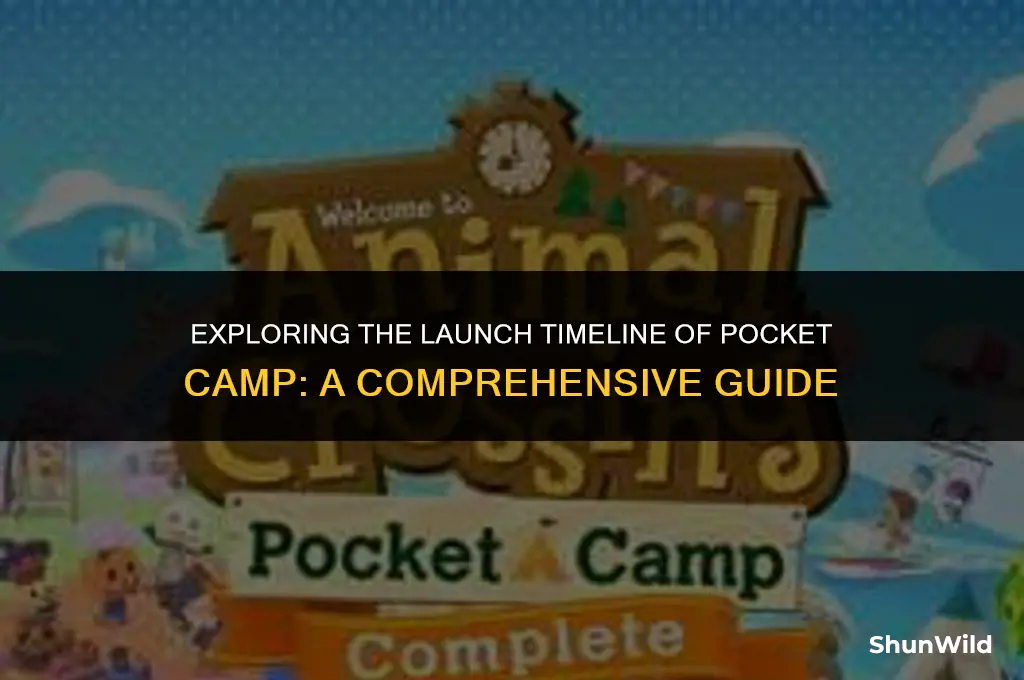 when did pocket camp release