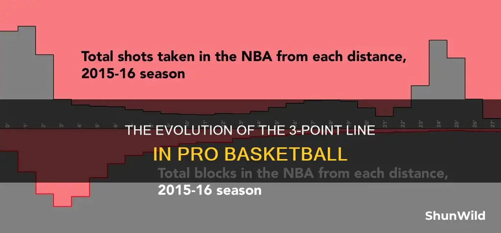 when did pro basketball initiate 3 point line