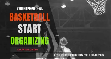 The Inception of Professional Basketball: A Historical Perspective