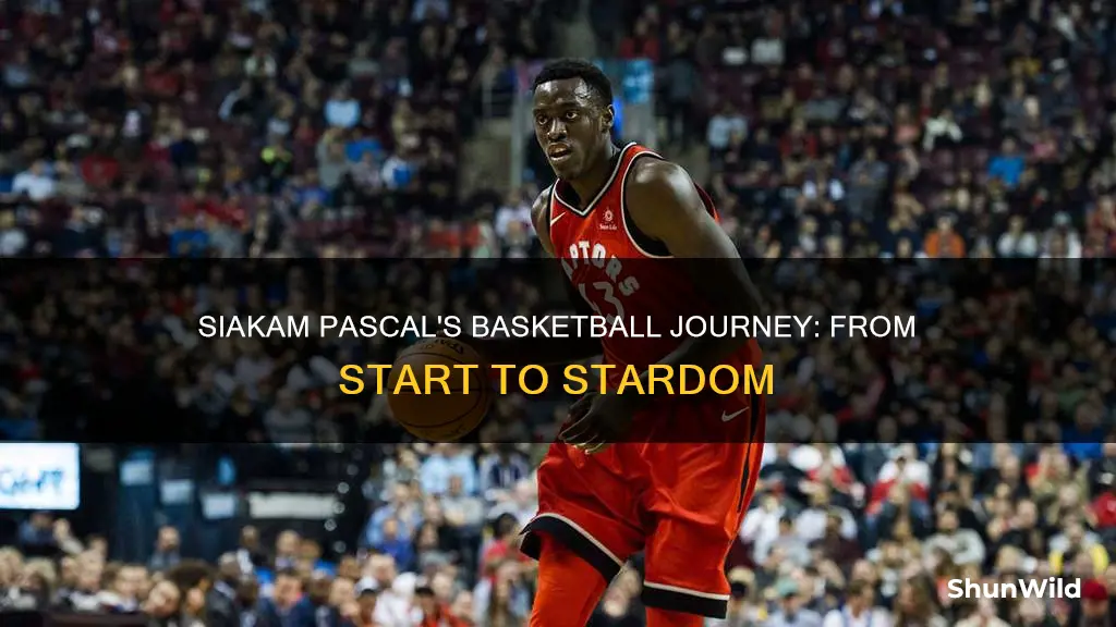 when did siakam pascal start basketball