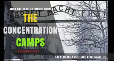Unveiling the Holocaust: When Allies Discovered Concentration Camps