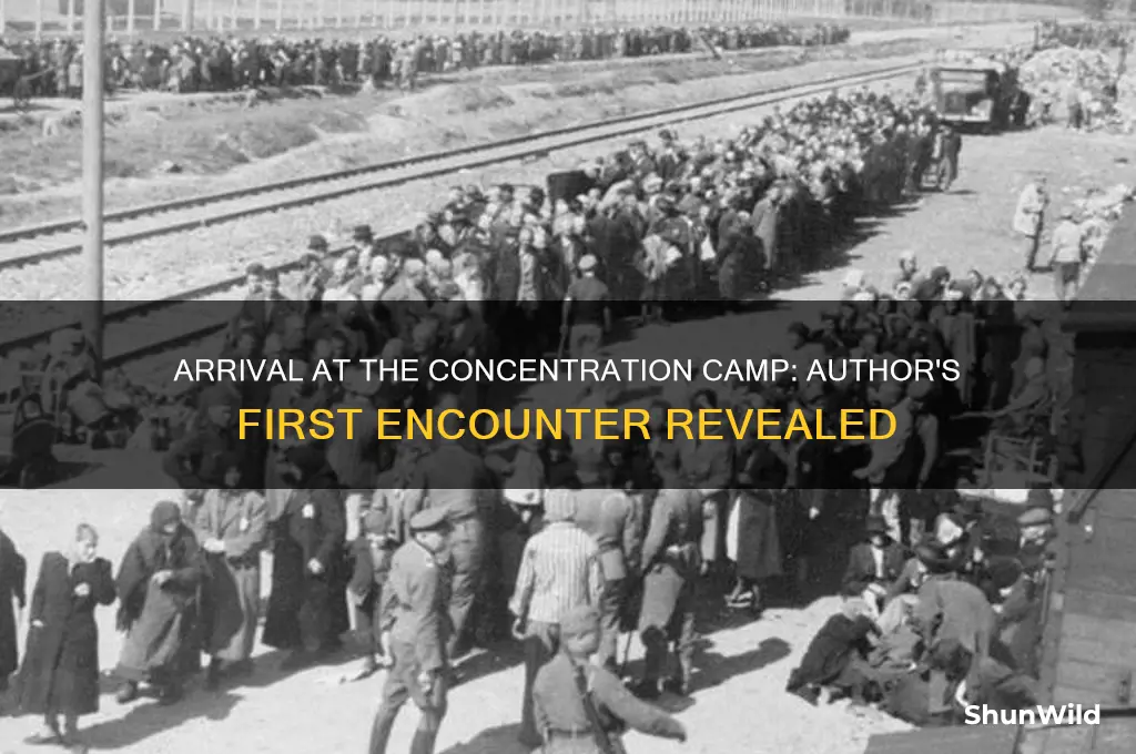 when did the author first arrive at the concentration camp