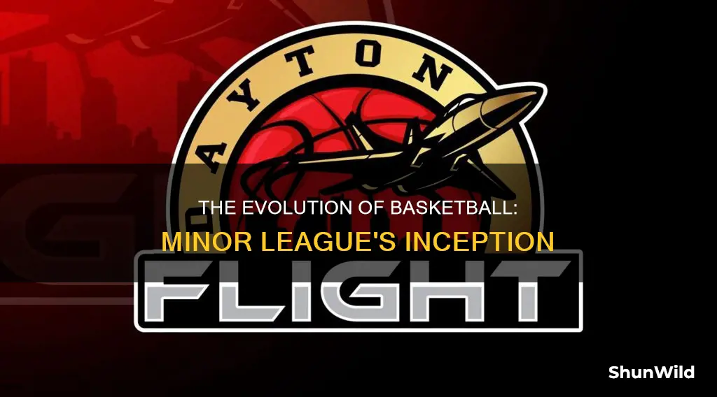 when did the basketball minor leagues start