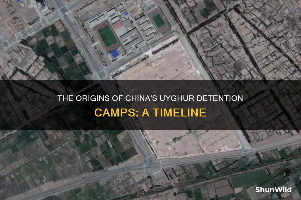 when did the chinese concentration camps start