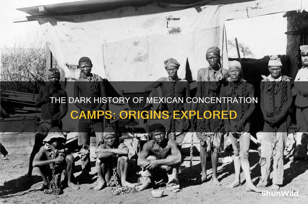 when did the concentration camps for mexicans begin
