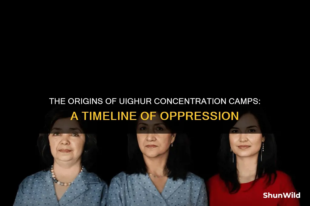when did the uighur concentration camps start