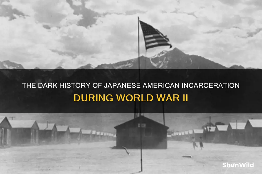 when did the us roundup japanese into concentration camps