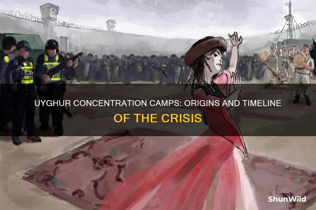 when did the uyghur concentration camps start