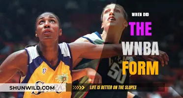 The WNBA's Formation: A Historical Perspective