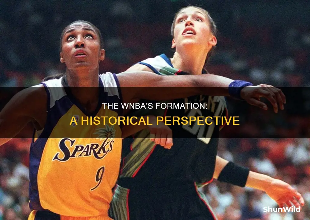 when did the wnba form