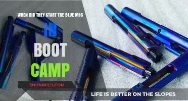Blue M16 Introduction: Tracing Its Origins in Boot Camp Training