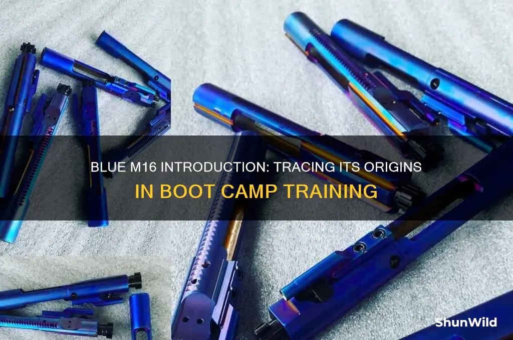 when did they start the blue m16 in boot camp