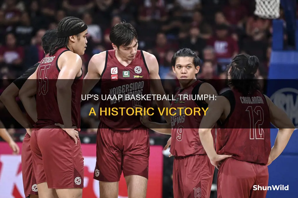 when did up win uaap basketball