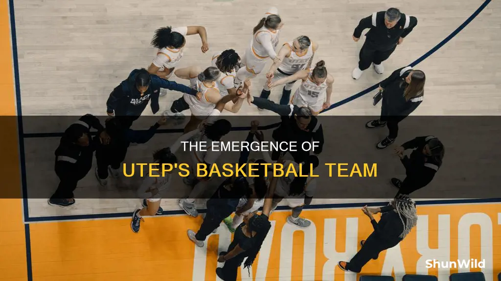 when did utep start having a basketball t