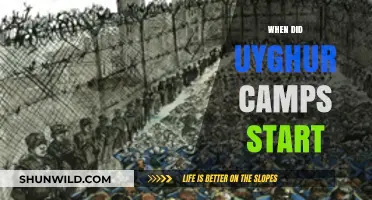 Uyghur Camps: Tracing the Origins of a Humanitarian Crisis