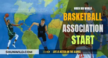 The World Basketball Association's Inception and Early Days
