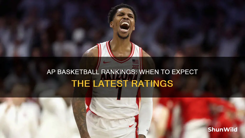 when do ap rankings come out basketball