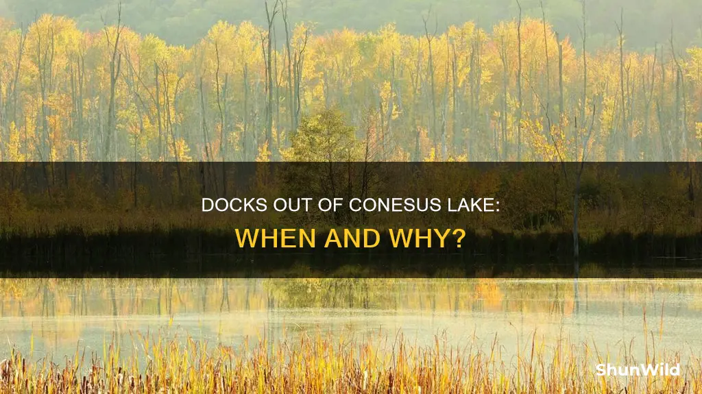 when do docks come out of conesus lake boat launch