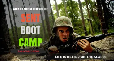 When Do Marine Recruits Head to Boot Camp: A Timeline