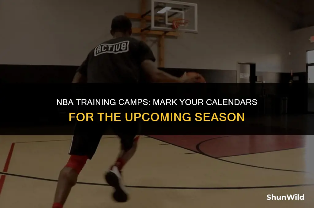 when do nba camps open