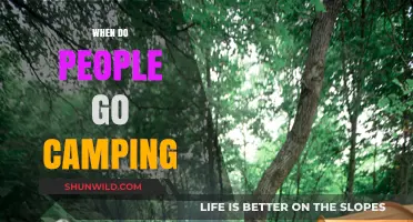 Embracing Nature: The Ideal Seasons for Camping Adventures