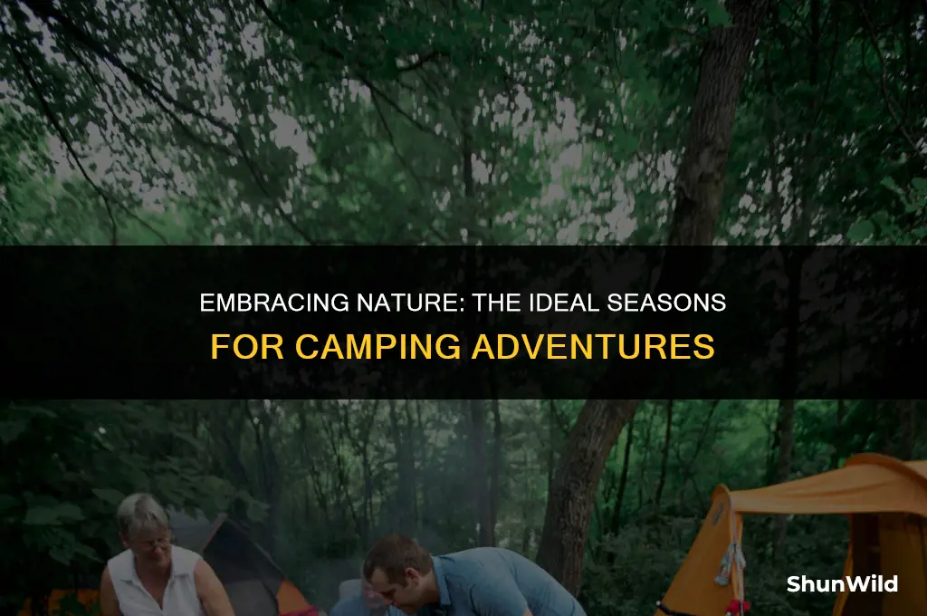 when do people go camping