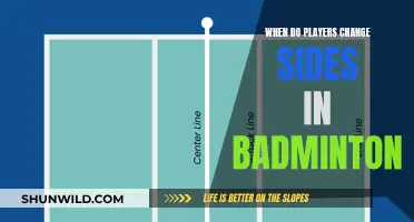 Understanding the Rules: Sides Switch in Badminton