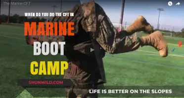 Marine Boot Camp CFT: Timing and Preparation for Recruits