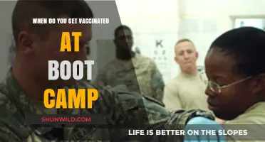 Vaccination Schedule at Boot Camp: What to Expect and When