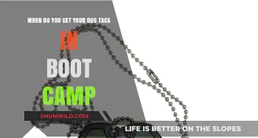 When Do Recruits Receive Dog Tags During Boot Camp Training?