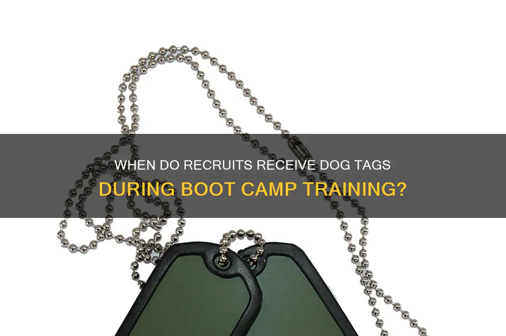 when do you get your dog tags in boot camp