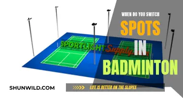 Strategic Spot Switching: A Guide to Badminton Court Positioning