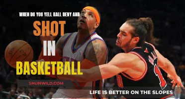 Mastering the Art of Ball Deny and Shot in Basketball