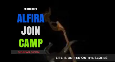 Alfira's Arrival at Camp: A Timeline of Events