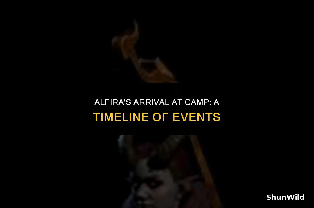 when does alfira join camp