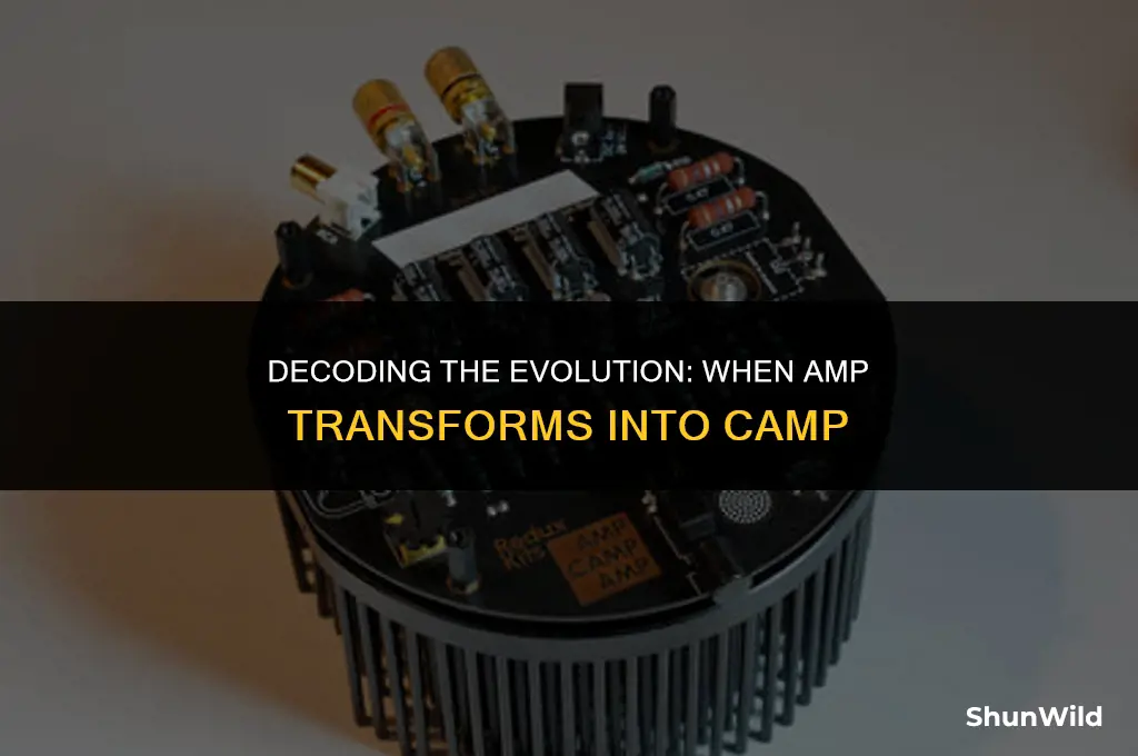 when does amp become camp