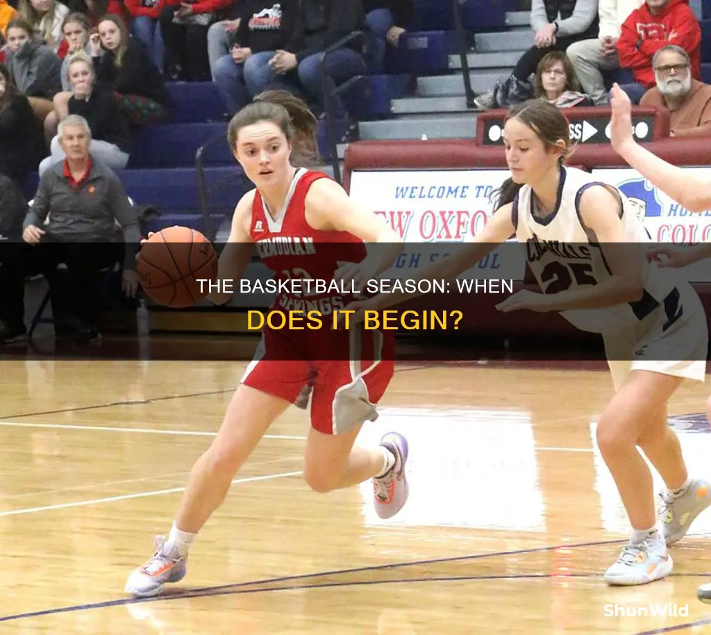 when does basketball start up