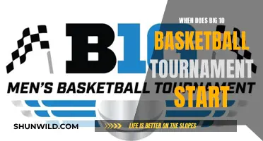 March Madness: Big Ten Tournament Tips for Fans