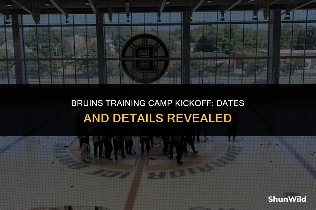 when does bruins camp start