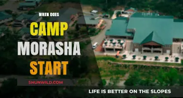 Summer Fun Awaits: Camp Morasha's Start Date Announced!