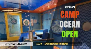 Dive into Summer: Camp Ocean's Opening Day Approaches!