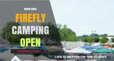 Firefly Camping Season: When Does the Magic Begin?