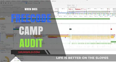 Decoding the Timeline: When Does FreeCodeCamp Audit?