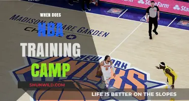 NBA Training Camp Schedule: Dates and Details for the Upcoming Season