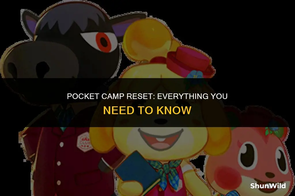 when does pocket camp reset