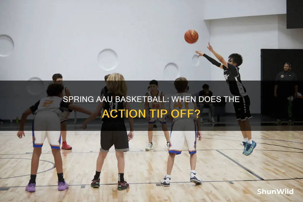 when does spring aau basketball start