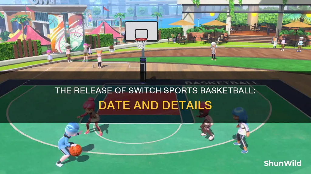 when does switch sports basketball come out